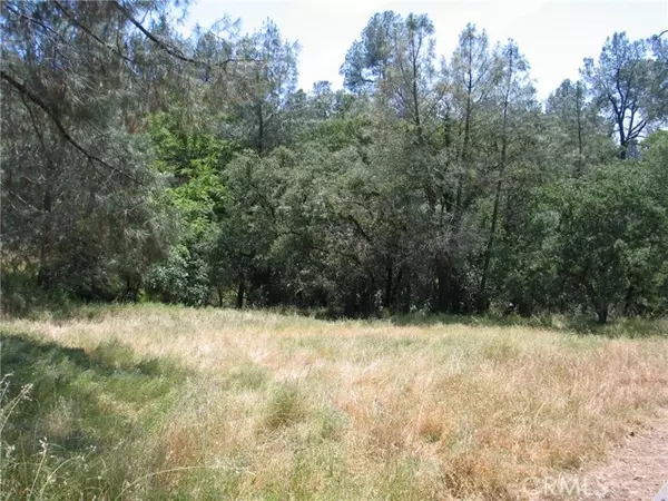 Oroville, CA 95966,211 Lemon Hill Drive