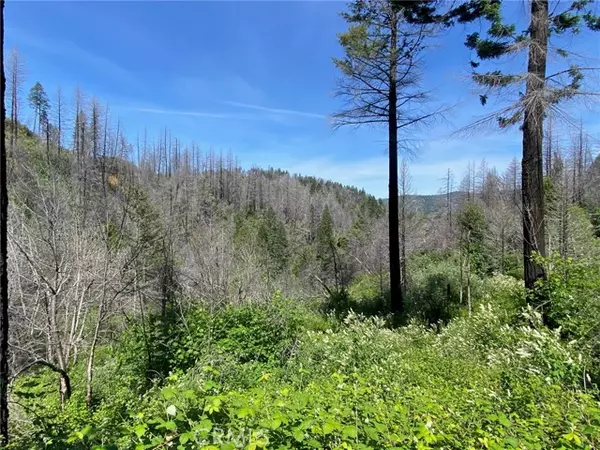 Berry Creek, CA 95916,582 Eden Canyon Road