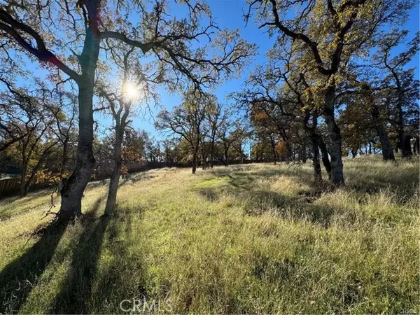 Oroville, CA 95966,43 Alta Mira Lane