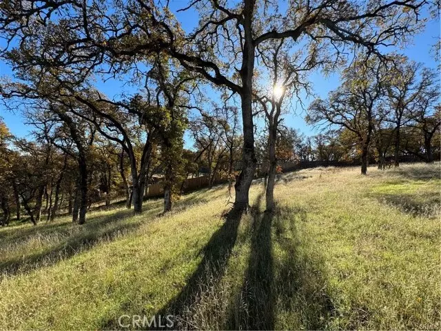 Oroville, CA 95966,43 Alta Mira Lane