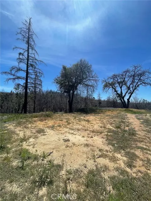 Berry Creek, CA 95916,180 Mirage Lake Road