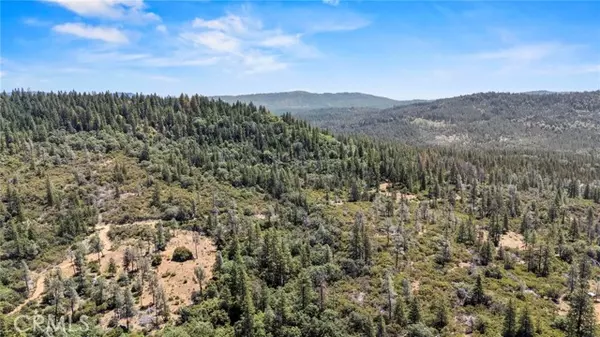 17711 Pamlo Way, Brownsville, CA 95919