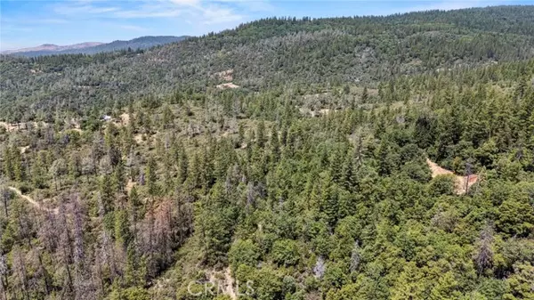 Brownsville, CA 95919,17711 Pamlo Way