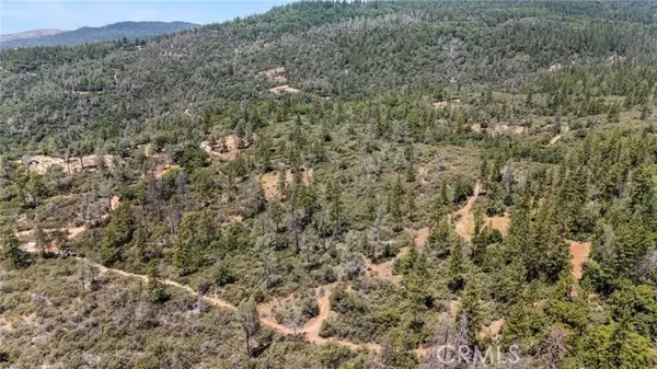 Brownsville, CA 95919,17711 Pamlo Way