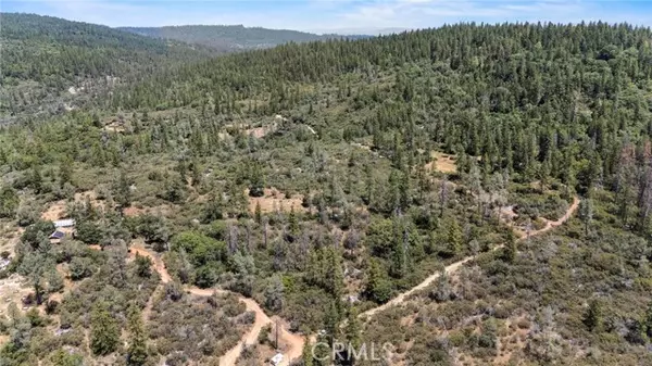 Brownsville, CA 95919,17711 Pamlo Way