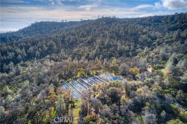 Oroville, CA 95965,1193 Oregon Gulch Road