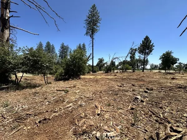 Paradise, CA 95969,5440 Edgewood Lane