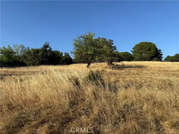 Oroville, CA 95966,0 Skyline Boulevard