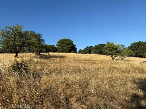 Oroville, CA 95966,0 Skyline Boulevard