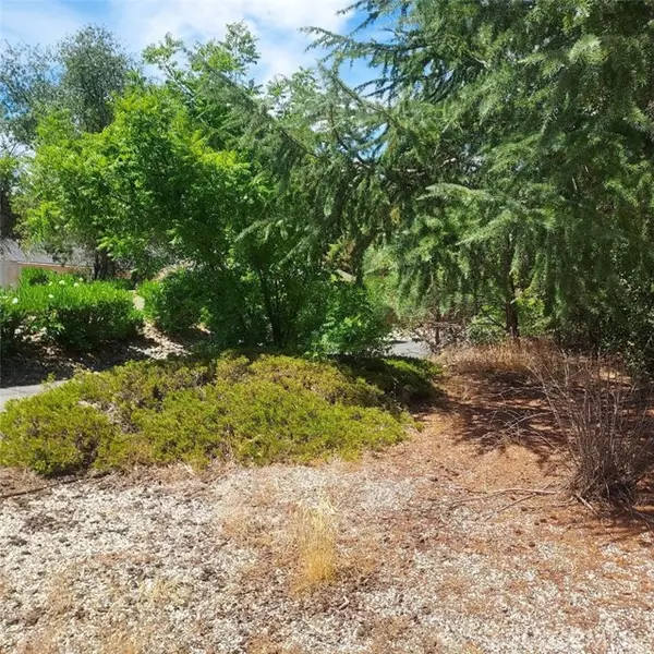 Oroville, CA 95966,226 Rim Canyon Parkway