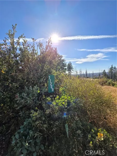 Oroville, CA 95965,11269 Dawn Terrace