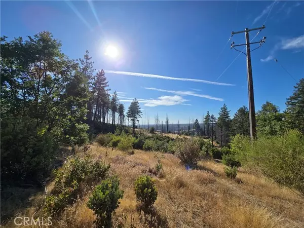 Oroville, CA 95965,11269 Dawn Terrace