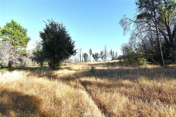 Berry Creek, CA 95916,0 Centurion Way