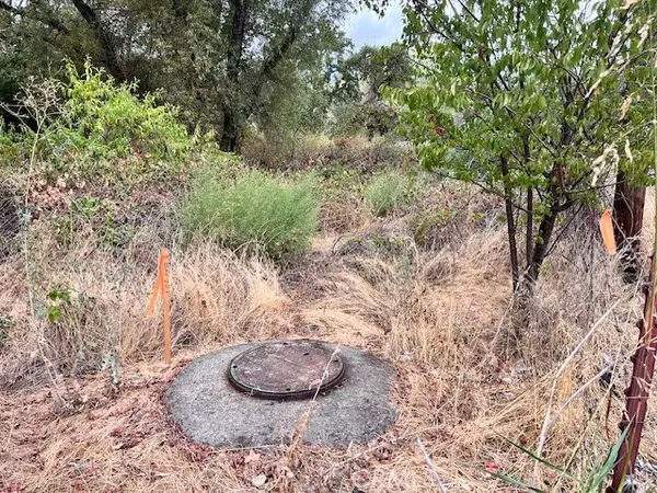 Oroville, CA 95966,0 Lower Wyandotte Road