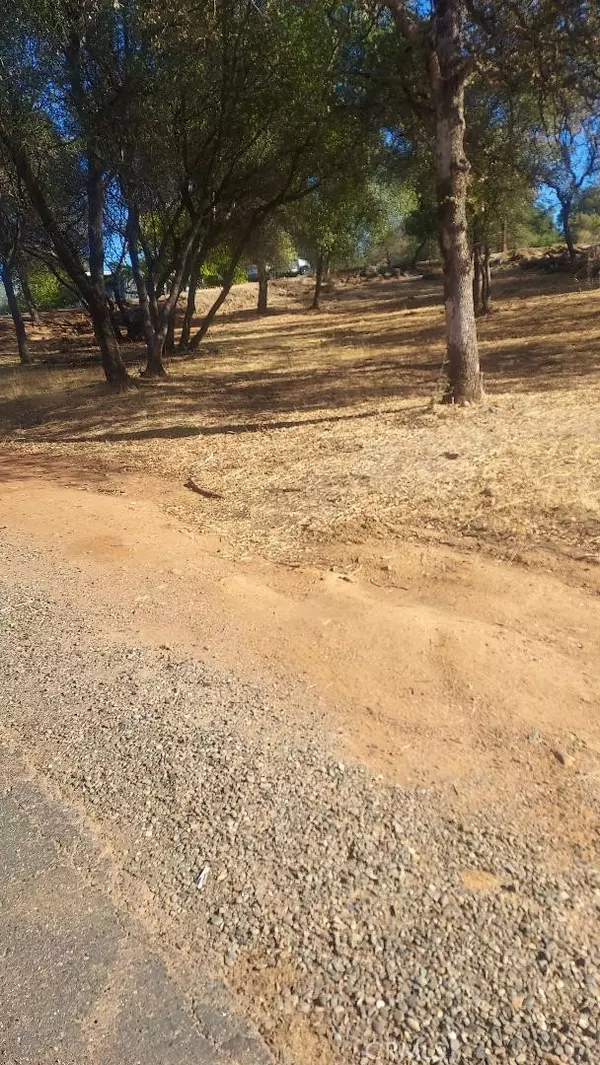 Oroville, CA 95966,307 Lodgeview Drive