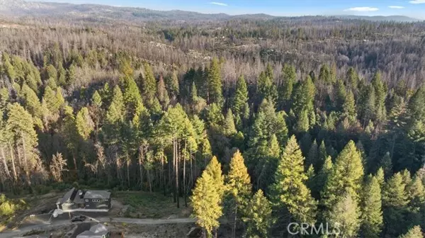 Berry Creek, CA 95916,0 Path in the Woods