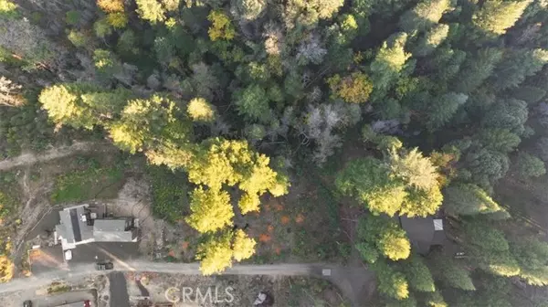 Berry Creek, CA 95916,0 Path in the Woods