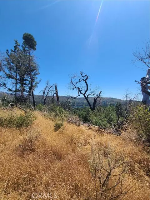 Paradise, CA 95965,0 HOG RANCH ROAD