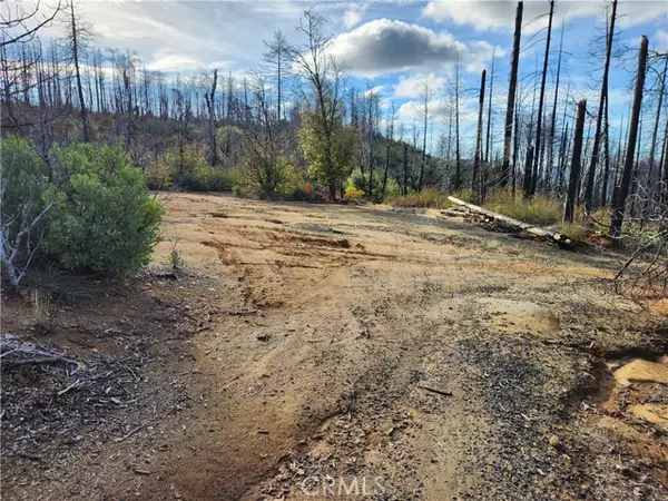 Berry Creek, CA 95916,120 Woodsmoke Way