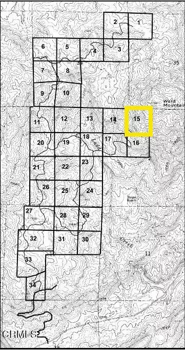 Coarsegold, CA 93614,0 Ward Mountain Dr Drive