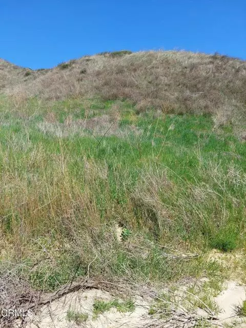 Santa Clarita, CA 91384,0 Loma Verde Mountainway