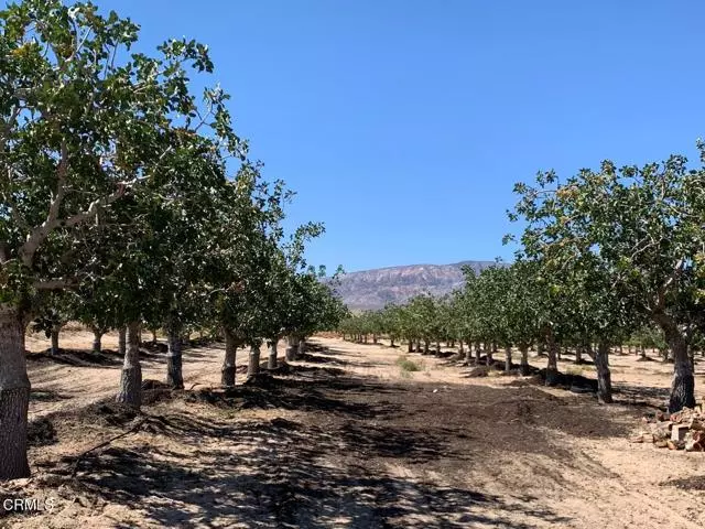 Lucerne Valley, CA 92356,10080 Santa Fe Fire Road
