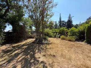 Altadena, CA 91001,591 Alameda Street