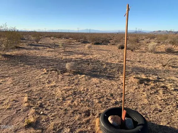 Palmdale, CA 93591,170 St Avenue