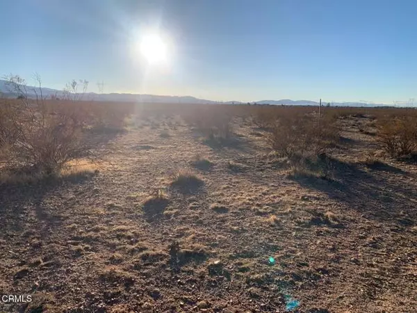 Palmdale, CA 93591,170 St Avenue