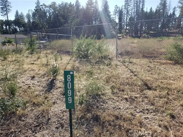 Paradise, CA 95969,8099 Skyway