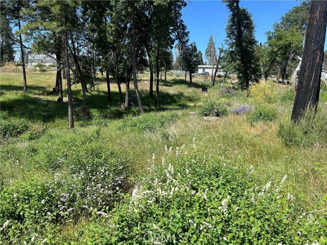 Magalia, CA 95954,13664 Fritz Court