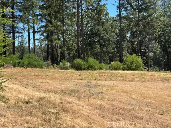 Paradise, CA 95969,9128 Skyway