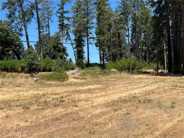 Paradise, CA 95969,9128 Skyway