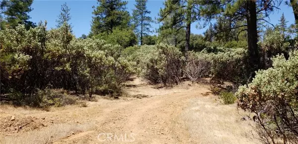 Oroville, CA 95965,0 Lumberjack Road