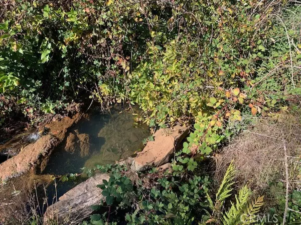 Paradise, CA 95969,6665 Fuhrmann