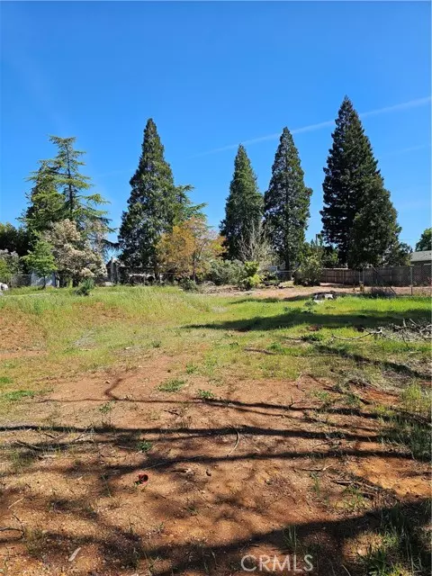 Paradise, CA 95969,1473 Bille