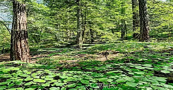 18176 HWY 116, Guerneville, CA 95446