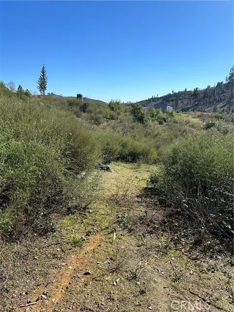 Oroville, CA 95965,1234 Hog Ranch Rd