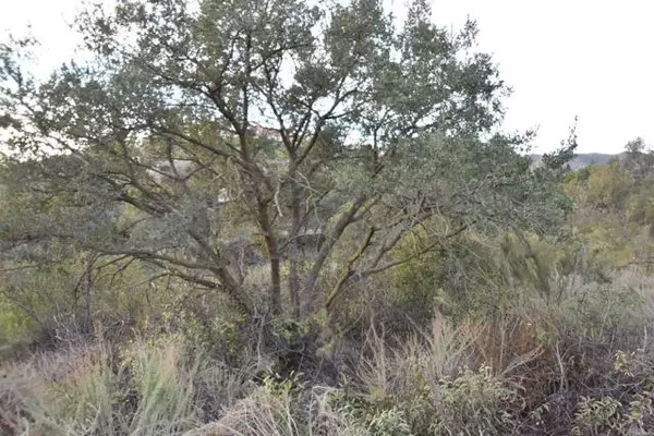 Jamul, CA 91935,Vista de Chaparros