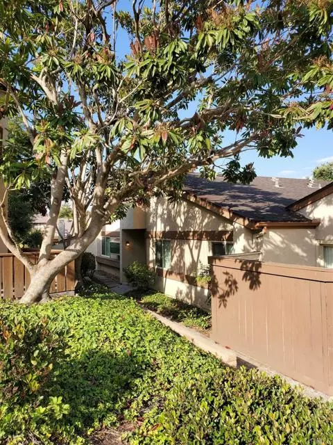 4987 Camino David, Bonita, CA 91902