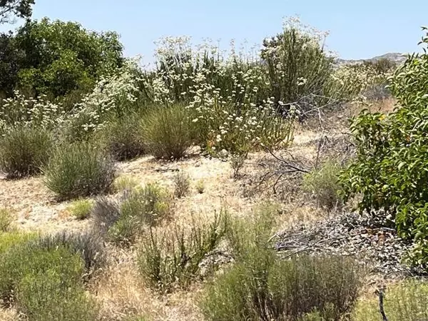 0 Custer Road, Campo, CA 91906