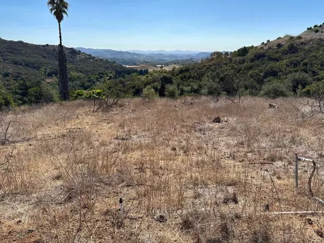 Temecula, CA 92590,29 El Calamar