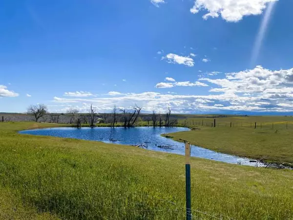 Corning, CA 96021,19525 Gutenhot Road