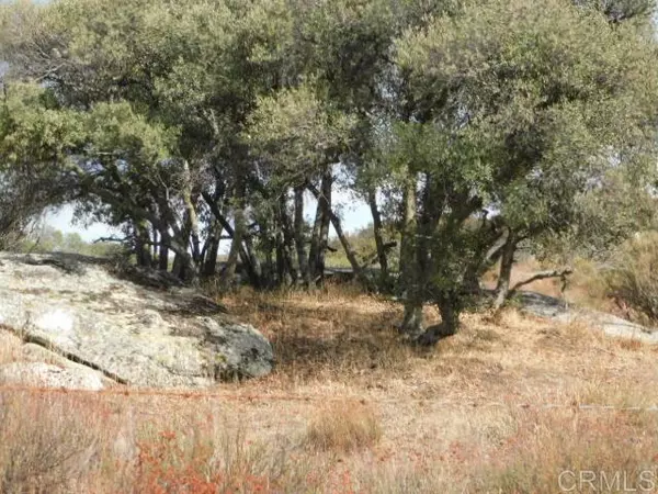 Campo, CA 91906,66 Cameron Truck Trail