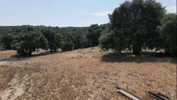 Avenida De Robles Verdes, Boulevard, CA 91905