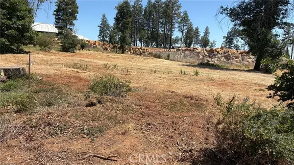 Paradise, CA 95969,8746 Skyway