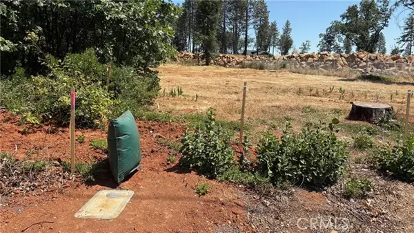 Paradise, CA 95969,8746 Skyway