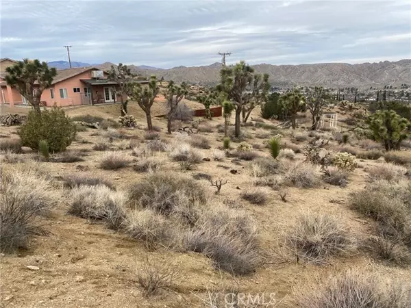 Yucca Valley, CA 92284,0 Free Gold Drive