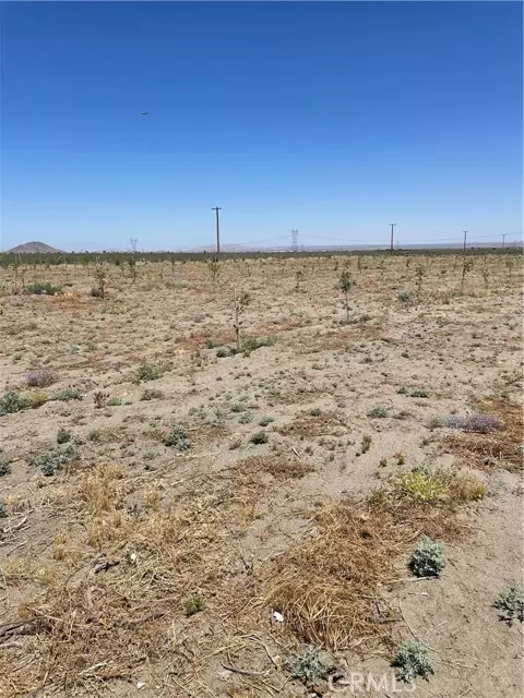 Phelan, CA 92371,14545 Oasis Road