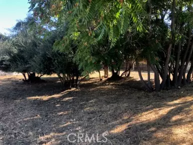 Lake Elsinore, CA 93530,0 Grand Ave. - Lot 31